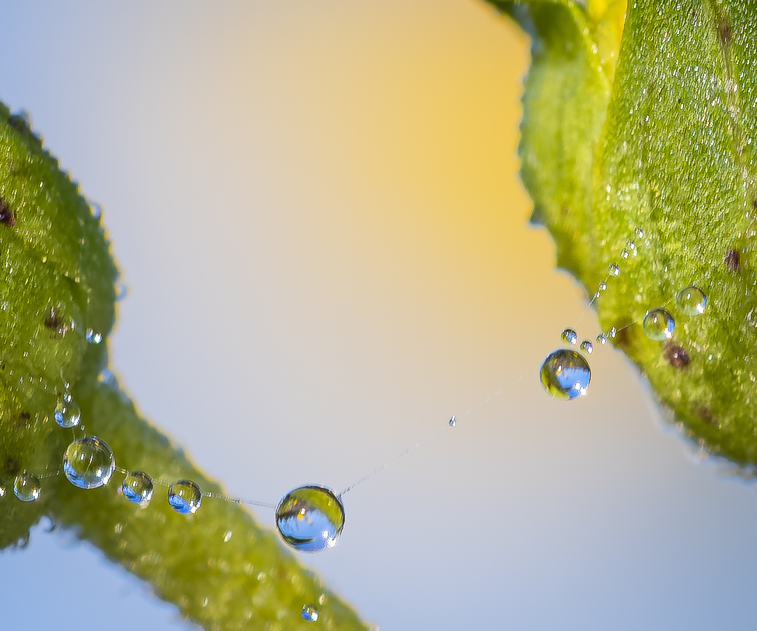 Wassertropfen Seiltanz Wassertropfen Seiltanz